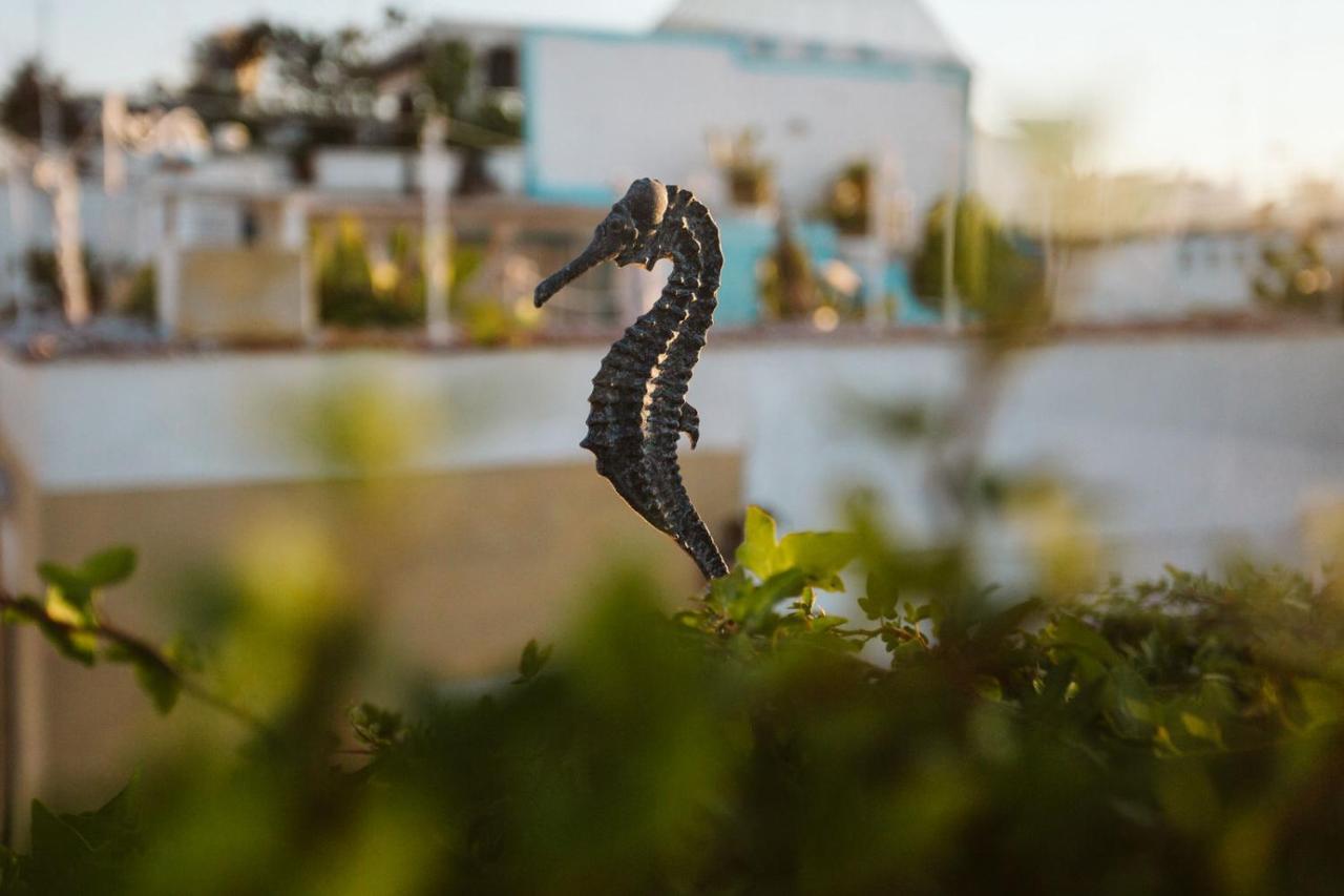 مبيت وإفطار تراني The Harbour - Luxury Living المظهر الخارجي الصورة